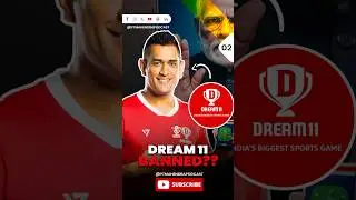 Dream11 ban or not ? and the future of fantasy sports in India