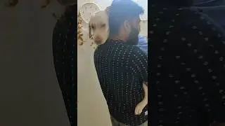 #music#cute#dog #love #viral #bonding#fatherdaughter#pawpaw