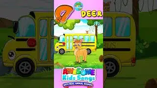 D is for Deer! 🦌 ABC Animals on the Bus | Fun Alphabet Learning for Kids