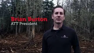Using Digital Twin Technology in Forestry Management