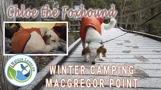 Chloe The Foxhound Goes Winter Camping At MacGregor Point Provincial Park