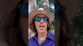 Tree Telepathy Experiment Day 5: Ginko Tree #telepathy #tree #consciousness