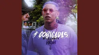 4 Cobi&ccedil;adas