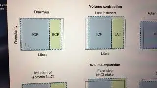 Analysis of body fluid compartment shifts easy explanation for clinical physiology cell membrane