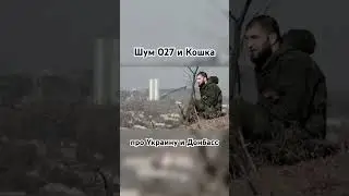 Шум 027 и Кошка про Украину и Донбасс #сво#добровольцы #россия #донбасс#днр #путин #спецоперация#вдв
