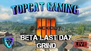 Blackout beta last day grind
