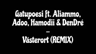 Gatupoesi ft. Aliammo, Adoo, Hamodii & DenDr&eacute; - V&auml;sterort (REMIX)