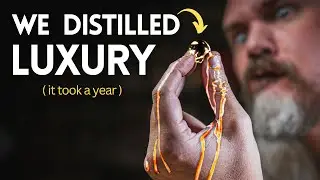 Distilled Luxardo is too classy for this world | Will It Distill
