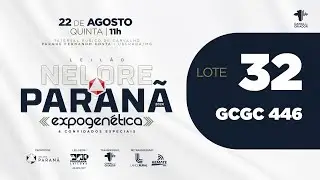 LOTE 32 GCGC 446 FULLHD 60FPS BIT40