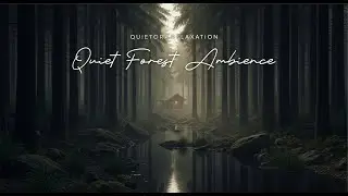 Quiet Forest Ambience 🌲 Calm Nature Sounds for Deep Relaxation