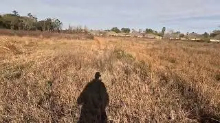 Training 1-11-26b