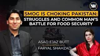 Air Pollution and Food Security: Assessing the Impact on Pakistan's Economic Struggles
