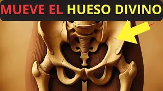 7 Movimientos Ocultos del Sacro que Activan el Modo Creador