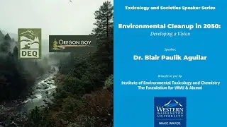 Environmental Cleanup in 2050: Developing a Vision