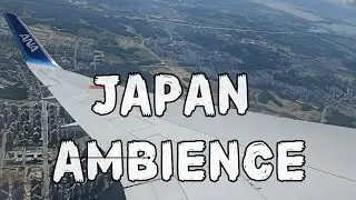 ANA항공 | 이타미→하네다 | 비행영상