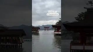 Itsukushima Shrine: The Story of Japan's Floating Torii Gate | Miyajima Guide