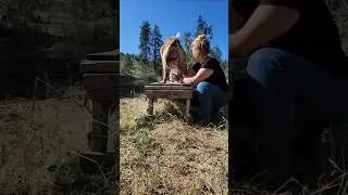 Simple Life: Milking Goats in the Mountains #simplelife #farmlifeusa #pnw