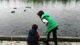 Espera