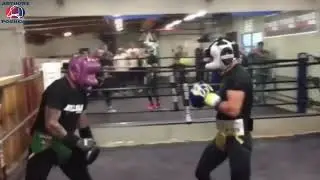 Бокс против ММА: Ломаченко бьется с бойцом UFC Ти Джеем Диллашоу