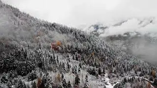 Scene depicting seasonal change with snow dusting upon conifers and rustic mountain dwellings
