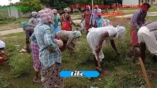 subscribe