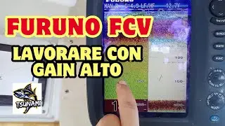 ECOSCANDAGLIO FURUNO FCV la potenzialità del gain a pomello