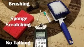 ASMR Mic Brushing & Scratching Sponge Shaving Brush Bristle Brush Binaural No Talking