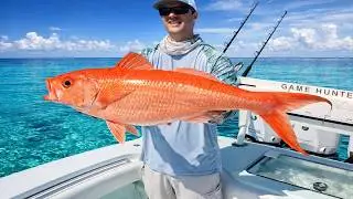 World&rsquo;s BEST Queen Snapper Fishing at Pulley Ridge | Epic Offshore Compilation