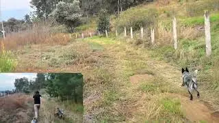 DJI Osmo Mobile stabilizer test with drone footage #djiflip
