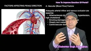 How to improve erection of penis? STAYING FIT: Dr. Dhakeswar