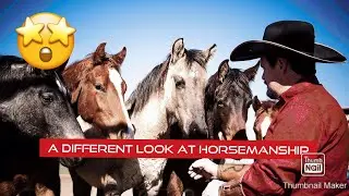 Broken R Ranch Horsemanship Episode 1  caveson communication with Bonnie Part 1 of 4