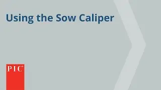Body Condition & Using the Sow Caliper | Pig Improvement Company (PIC)Correct Caliper Placement 4