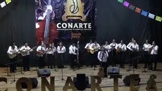 Rondalla Harmon&iacute;a Fractalis -- Abrire la puerta