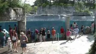 Mystic Aquarium