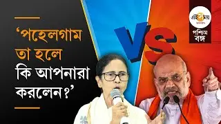 Mamata Banerjee on Amit Shah: শাহের অনুপ্রবেশ ইস্যুতে কী বললেন মমতা?