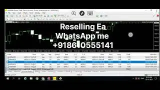 US30 & GOLD FTMO 2050 PROFITABLE EA