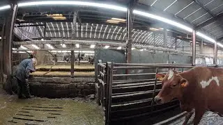 A Massive improvement to Clean up the Farm!!