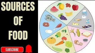 Sources of Food | EVS chapter | Full Explanation with Short note #evs#science#sourcesoffood#viral 