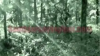 south jersey bigfoot promo video