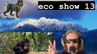 baboon crop raids, new national monument, elephant behaviour | eco show 13