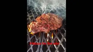 Pit Boss Pro Series Reverse Sear