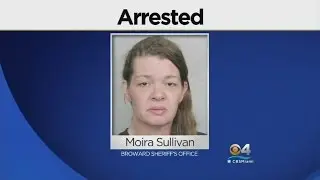 BSO: Caretaker Stole From Elderly Victims