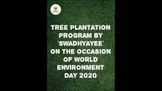 World Environment Day 2019