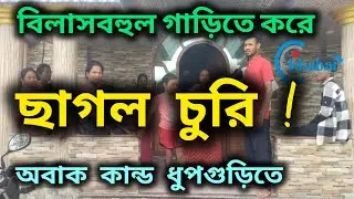 বিলাসবহুল গাড়িতে করে ছাগল চুরি ! ব্যাপক  শোরগোল ধুপগুড়িতে।#goats #goat #goatsofinstagram