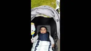 A  trip to Meadow Heights VIC