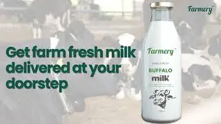 Farmery's Fresh & Pure Milk Subscriptions