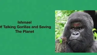 Ishmael of Talking Gorillas and Saving the Planet