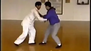 Cui ruibin démontre son Yiquan / dachengquan