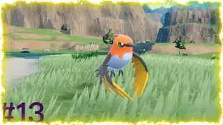 Passerouge évolue à son tour en braisillon ! Pokémon Violet #13