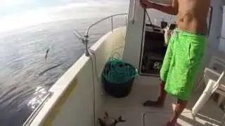 Pesca Embarcada Fundeada - Fishing Bream - Pesca Sargos